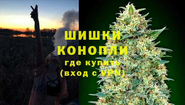 apvp Богданович