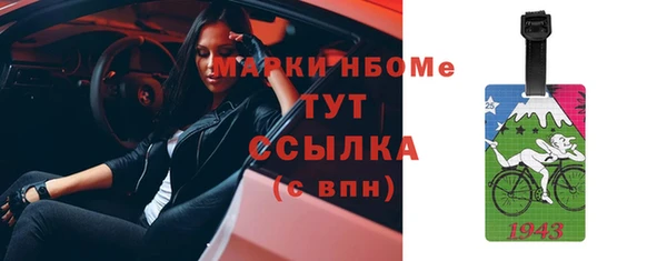 хмурый Бородино