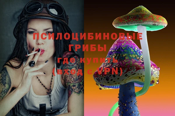 jwh Богородицк