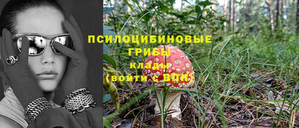 2c-b Богородск